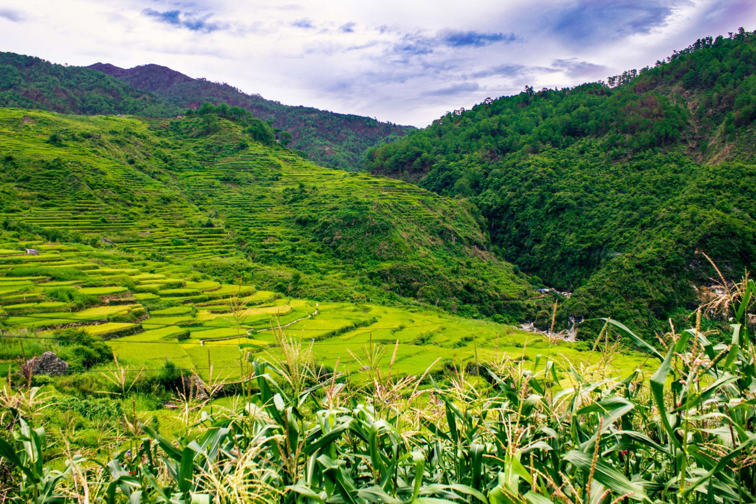 campsites in sagada