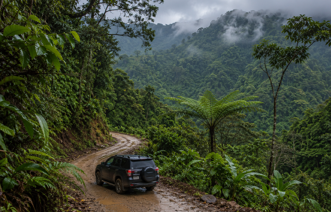 A dark SUV pauses on a muddy rainforest road surrounded by dense tropical trees, wet ferns, and misty green slopes.