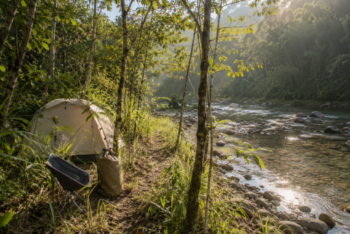 A small tent sits partly hidden among grasses and trees beside a clear forest river. A camp chair and dry bag rest nearby in soft morning light.